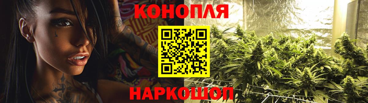 Конопля конопля Малгобек